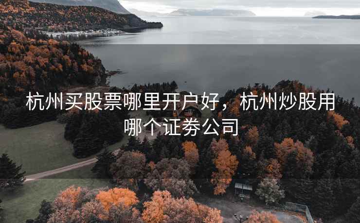 杭州买股票哪里开户好，杭州炒股用哪个证劵公司