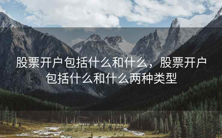 股票开户包括什么和什么，股票开户包括什么和什么两种类型