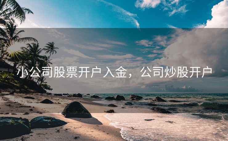 小公司股票开户入金，公司炒股开户