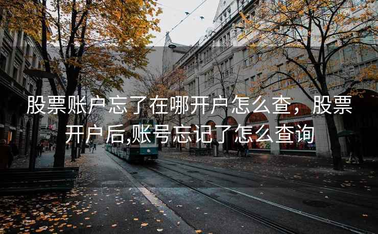 股票账户忘了在哪开户怎么查，股票开户后,账号忘记了怎么查询