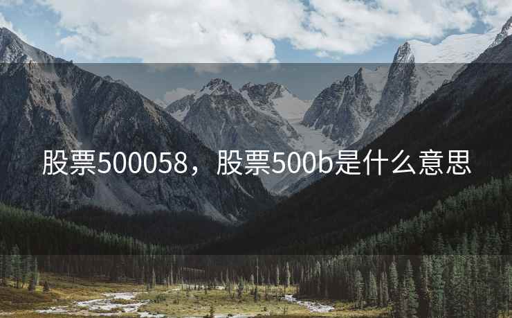 股票500058，股票500b是什么意思