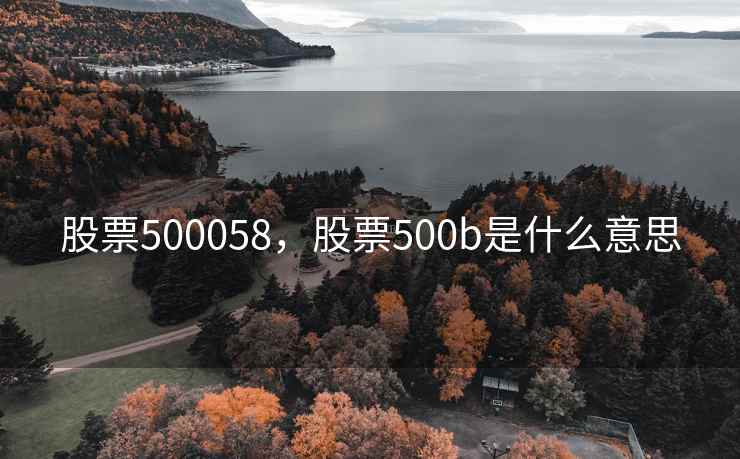 股票500058，股票500b是什么意思