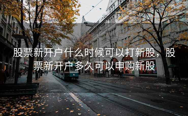 股票新开户什么时候可以打新股，股票新开户多久可以申购新股