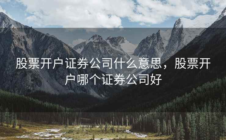 股票开户证券公司什么意思，股票开户哪个证券公司好