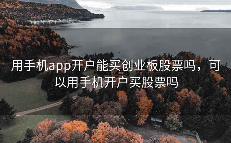 用手机app开户能买创业板股票吗，可以用手机开户买股票吗
