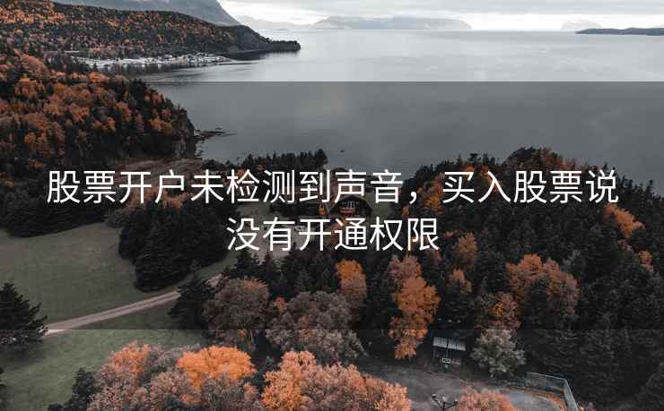 股票开户未检测到声音，买入股票说没有开通权限