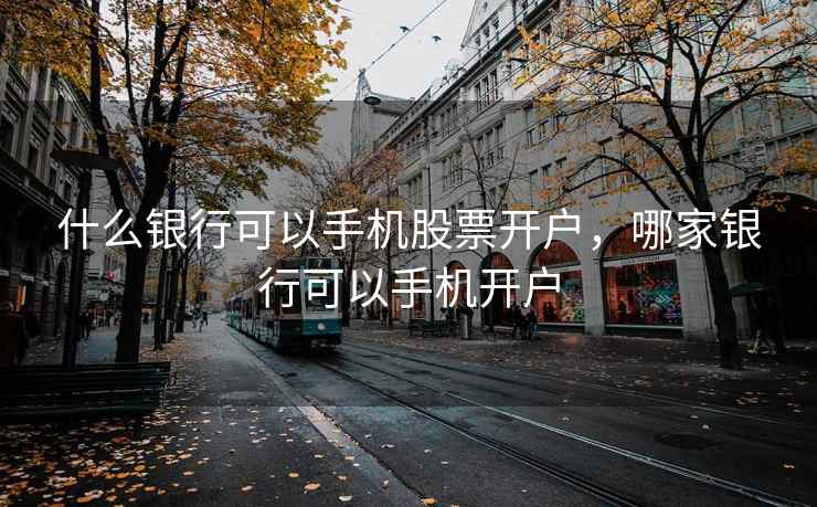 什么银行可以手机股票开户，哪家银行可以手机开户