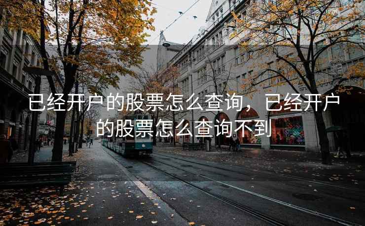 已经开户的股票怎么查询，已经开户的股票怎么查询不到