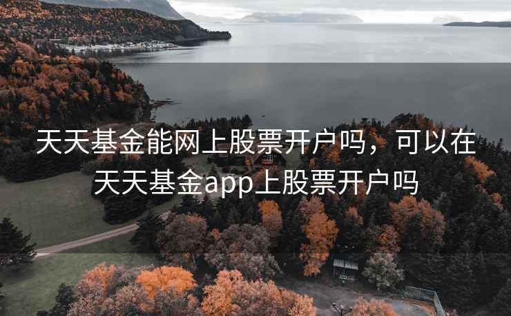 天天基金能网上股票开户吗，可以在天天基金app上股票开户吗