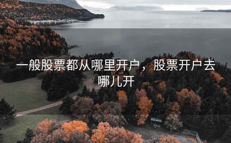 一般股票都从哪里开户，股票开户去哪儿开