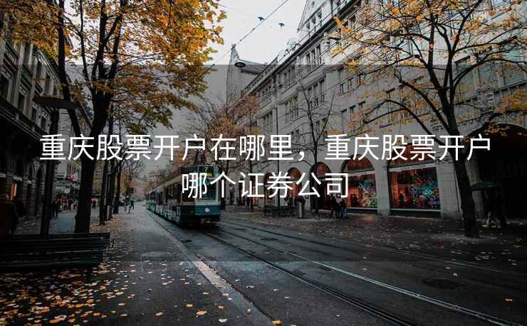 重庆股票开户在哪里，重庆股票开户哪个证券公司