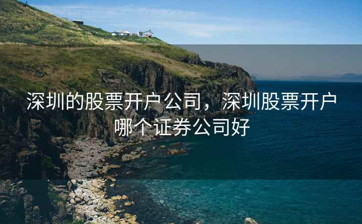 深圳的股票开户公司，深圳股票开户哪个证券公司好