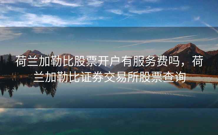 荷兰加勒比股票开户有服务费吗，荷兰加勒比证券交易所股票查询