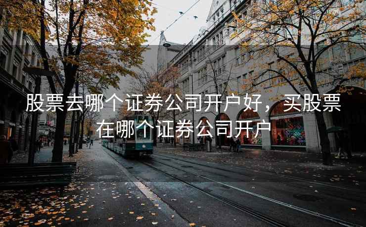 股票去哪个证券公司开户好，买股票在哪个证券公司开户