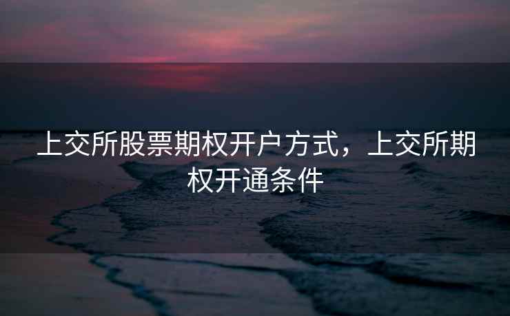 上交所股票期权开户方式，上交所期权开通条件