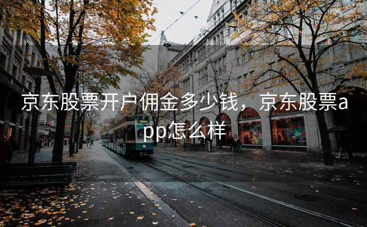 京东股票开户佣金多少钱，京东股票app怎么样