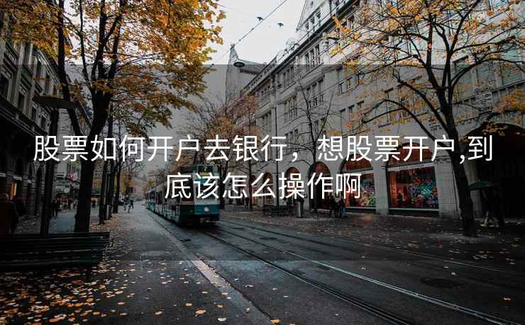 股票如何开户去银行，想股票开户,到底该怎么操作啊