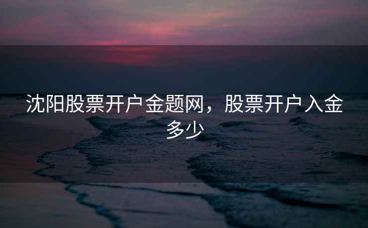 沈阳股票开户金题网，股票开户入金多少