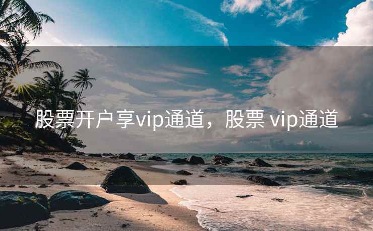 股票开户享vip通道，股票 vip通道