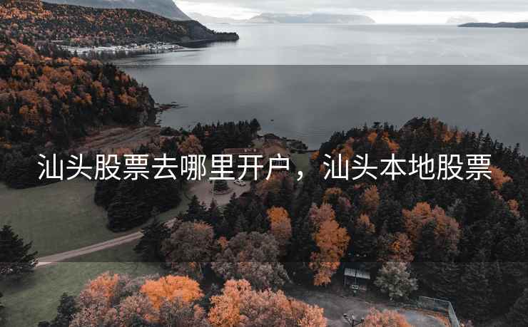 汕头股票去哪里开户，汕头本地股票