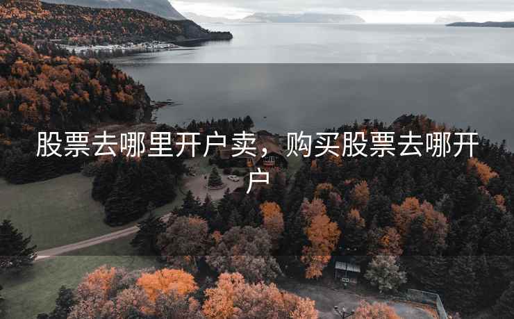股票去哪里开户卖，购买股票去哪开户