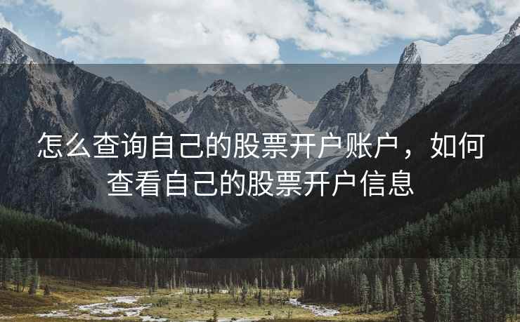 怎么查询自己的股票开户账户，如何查看自己的股票开户信息